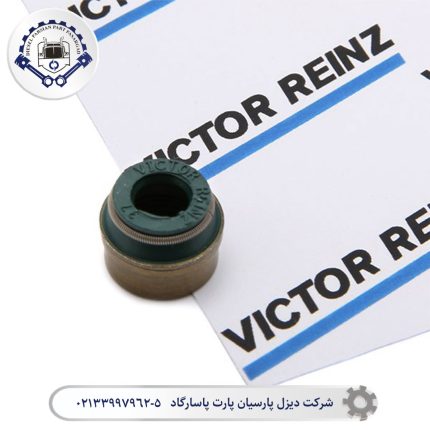 کاسه نمد ساق سوپاپ ویکتور رینز